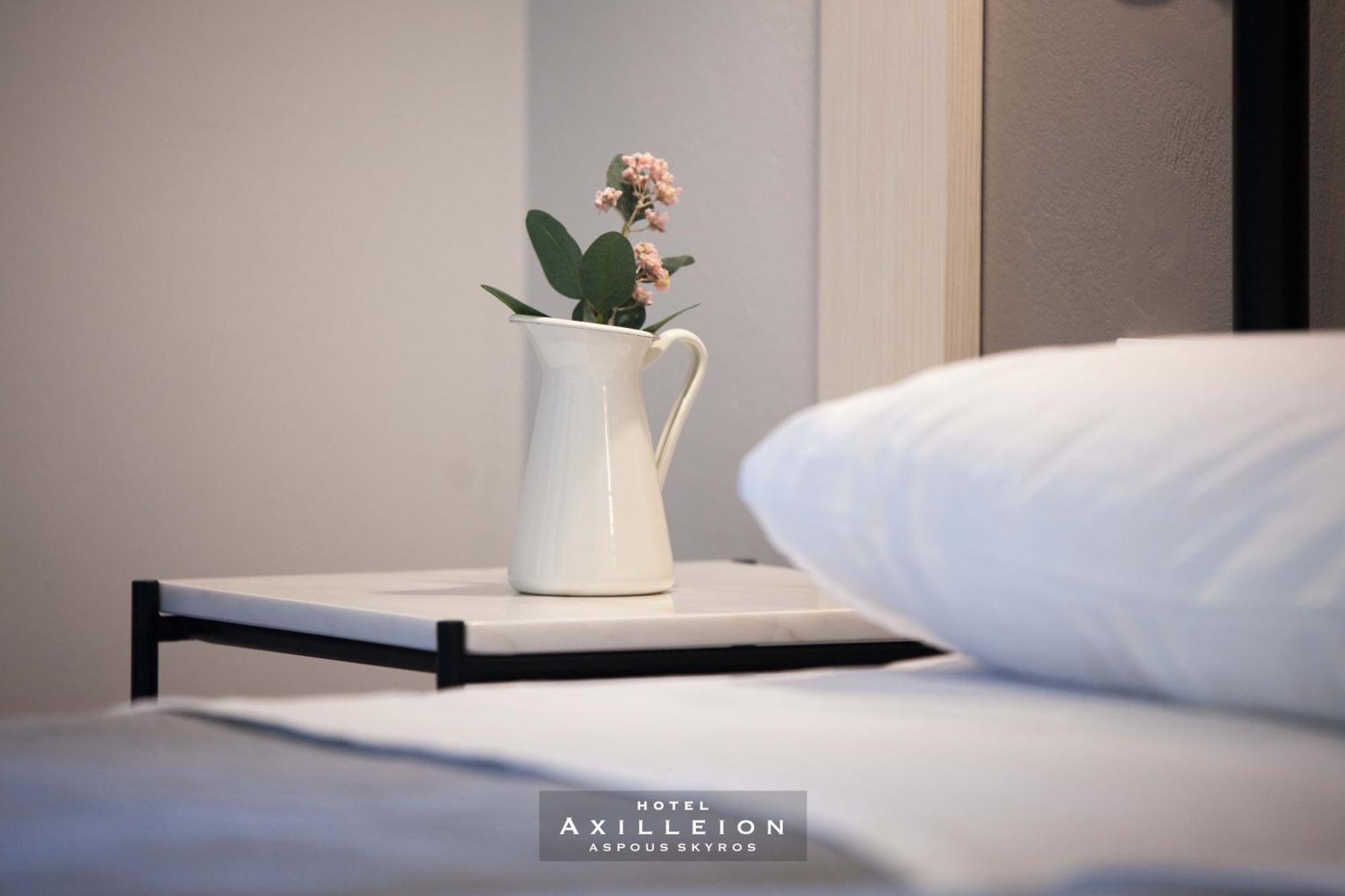Achilleion Hotel Skyros Bagian luar foto