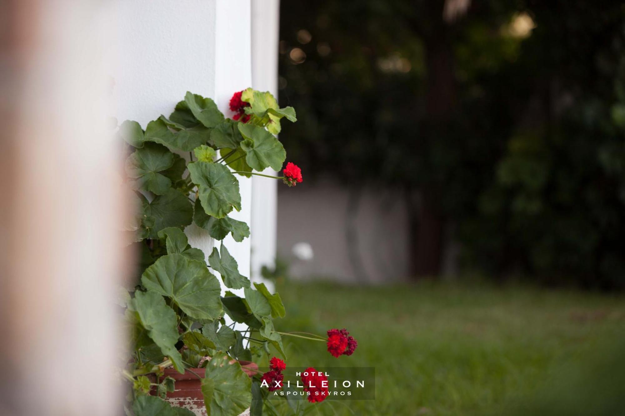 Achilleion Hotel Skyros Bagian luar foto