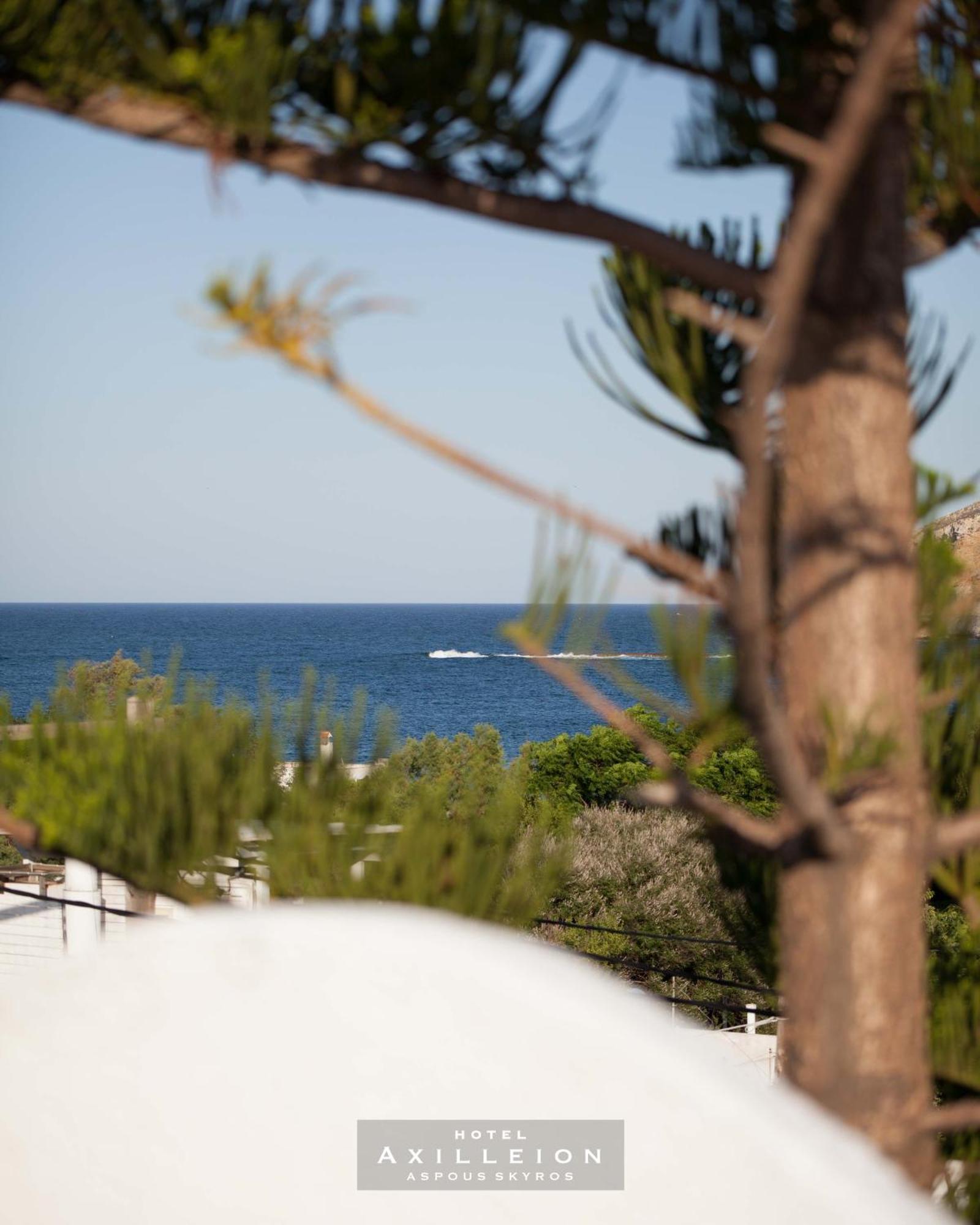 Achilleion Hotel Skyros Bagian luar foto