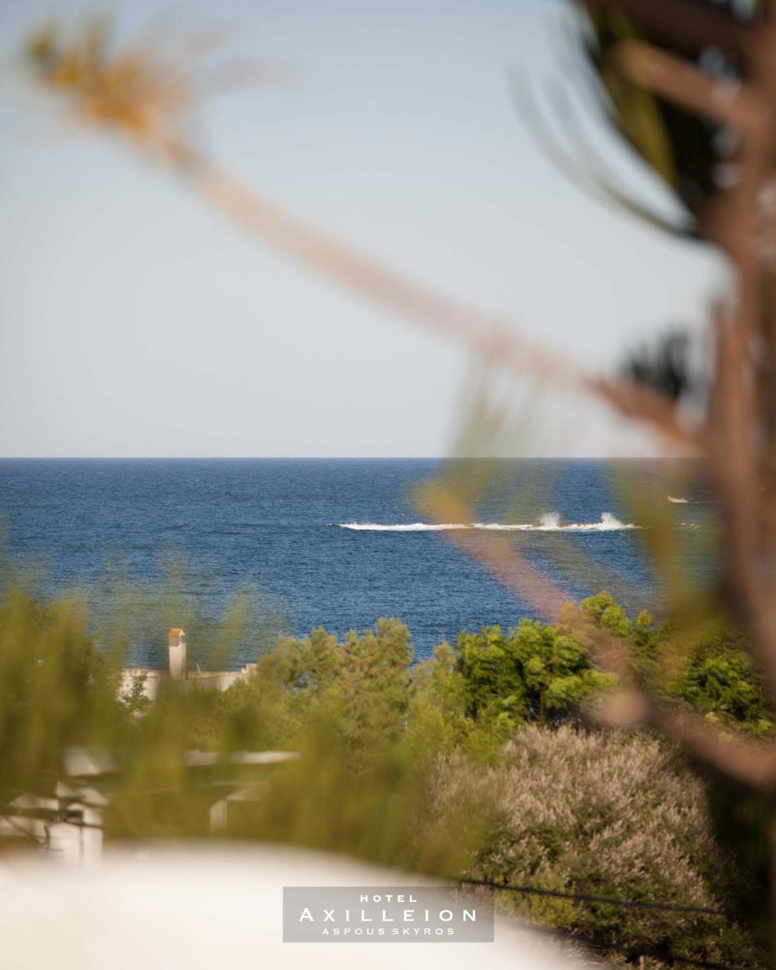 Achilleion Hotel Skyros Bagian luar foto