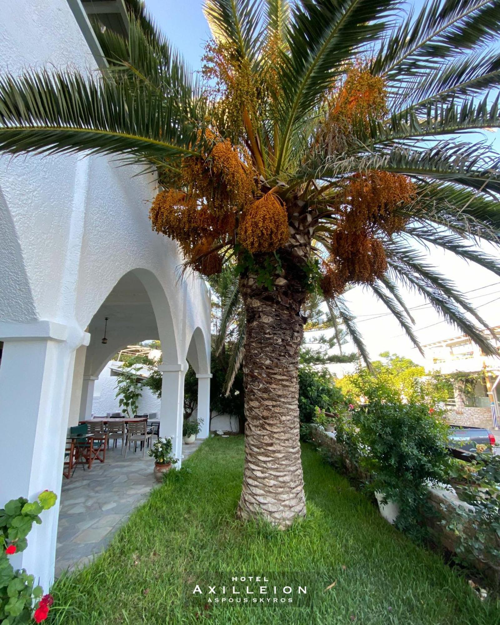 Achilleion Hotel Skyros Bagian luar foto