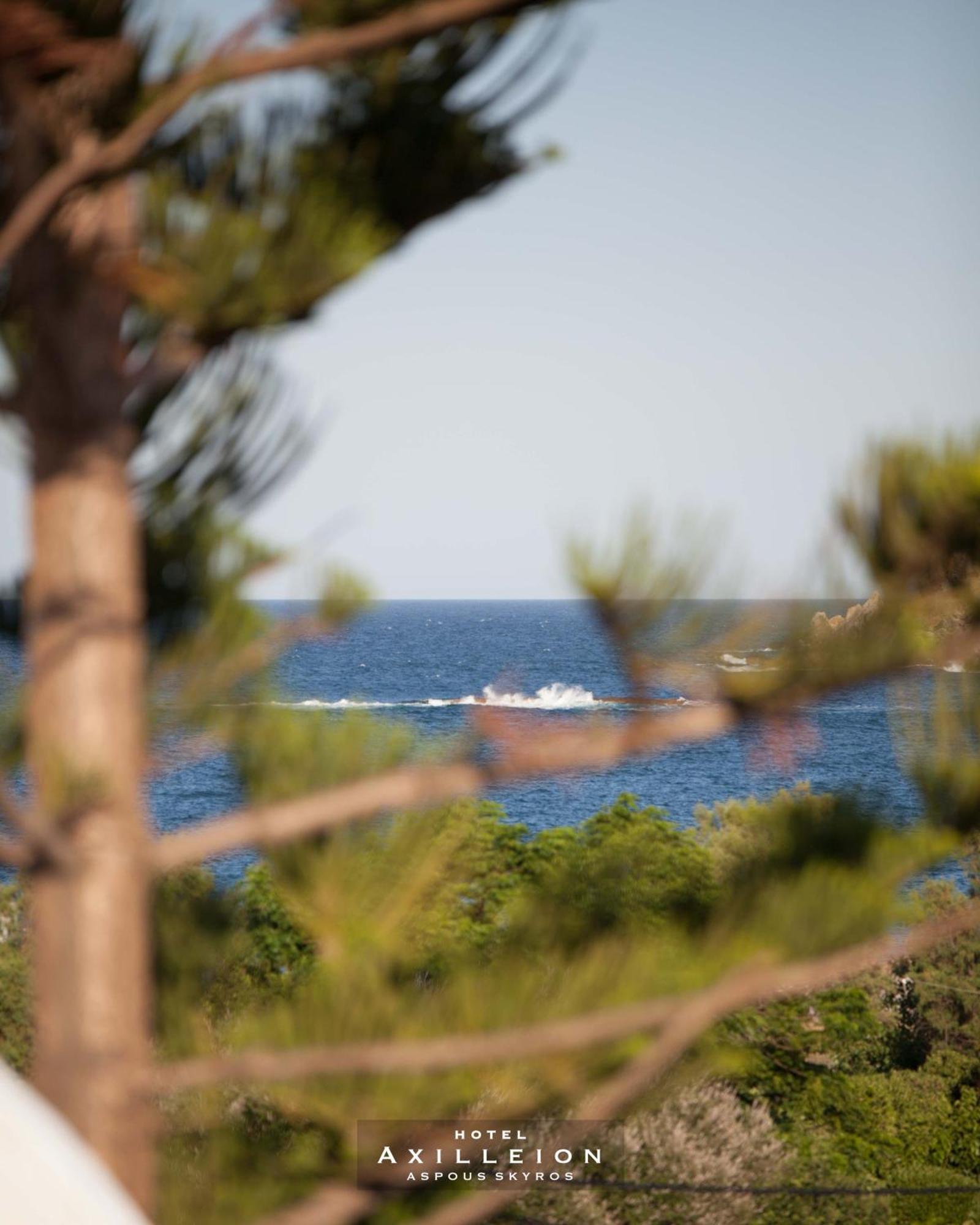Achilleion Hotel Skyros Bagian luar foto