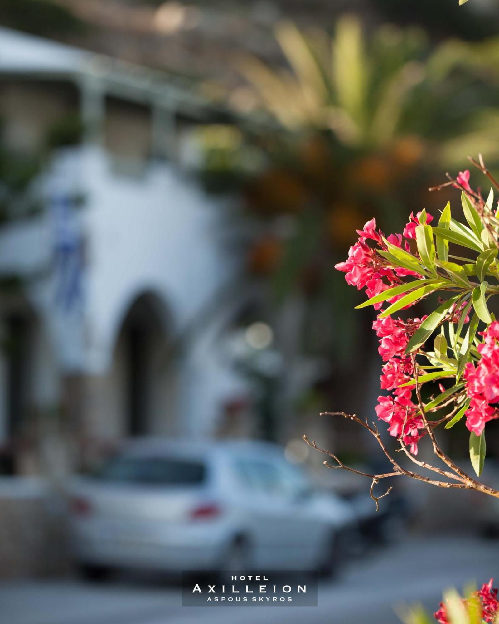 Achilleion Hotel Skyros Bagian luar foto