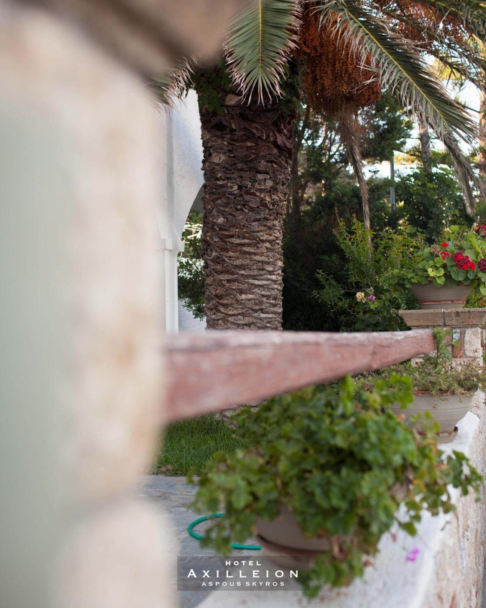 Achilleion Hotel Skyros Bagian luar foto